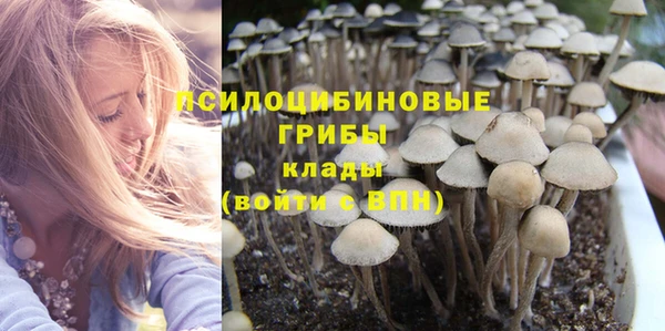 PSILOCYBIN Каменка