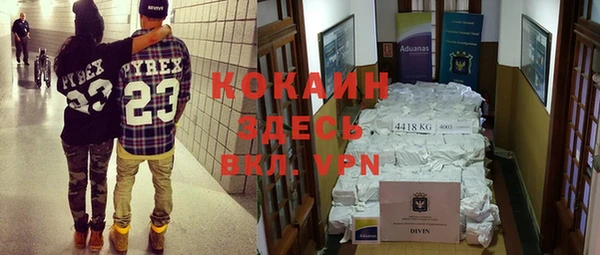 apvp Каменногорск