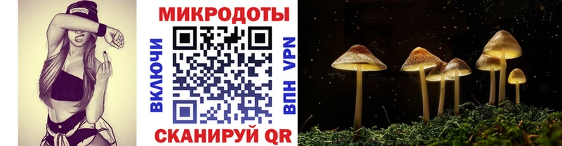 Купить где  Ачинск  Псилоцибиновые грибы MAGIC MUSHROOMS 